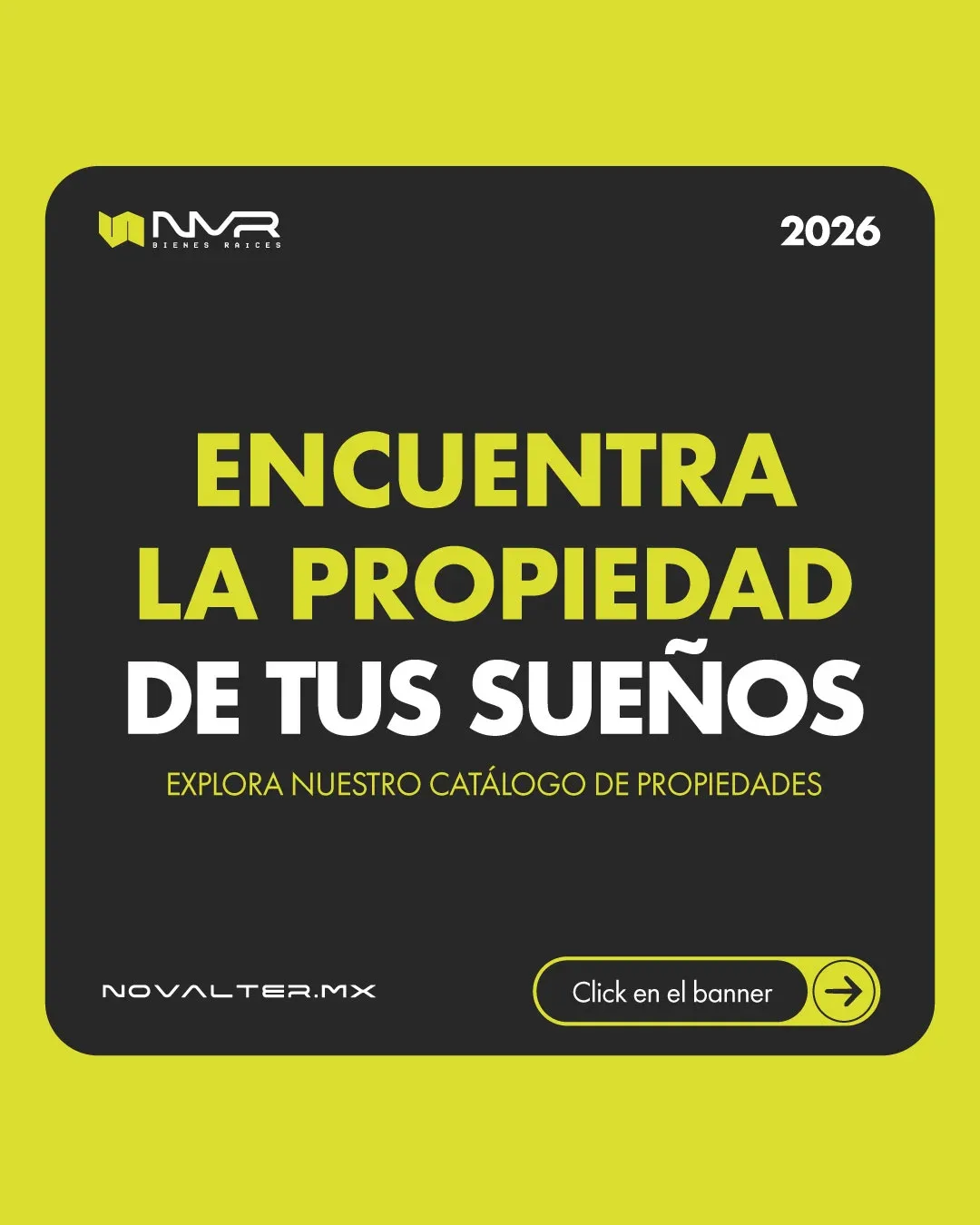 Imagen 7
